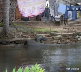 你有没有经历过说出来都没人相信的事情？插图14