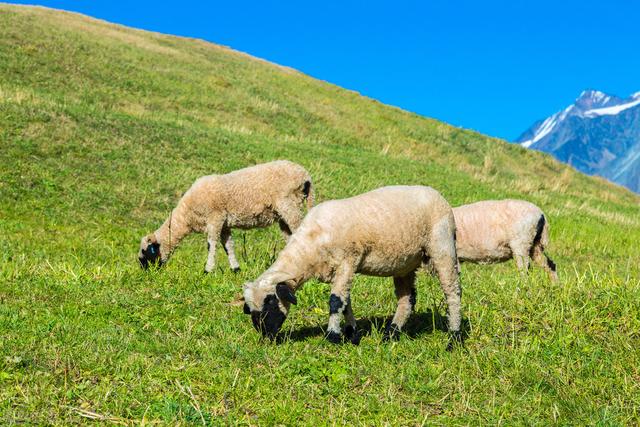 家里干净整洁风水好,怎么样把家里都收拾得干干净净的？