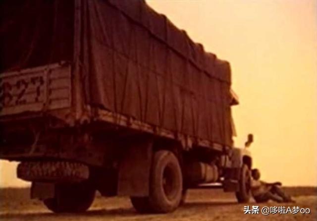 高速上动物灵异事件:你如何看待司机为避让闯入高速公路的动物而车毁人亡？