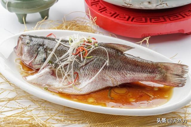 中餐厅林大厨清蒸鱼用什么鱼最好:蒸鱼的方法和正确步骤是什么？