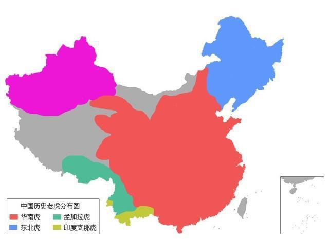 康熙宠物诊疗室:红楼梦里红玉为什么不能上位？为什么芳官却可以？