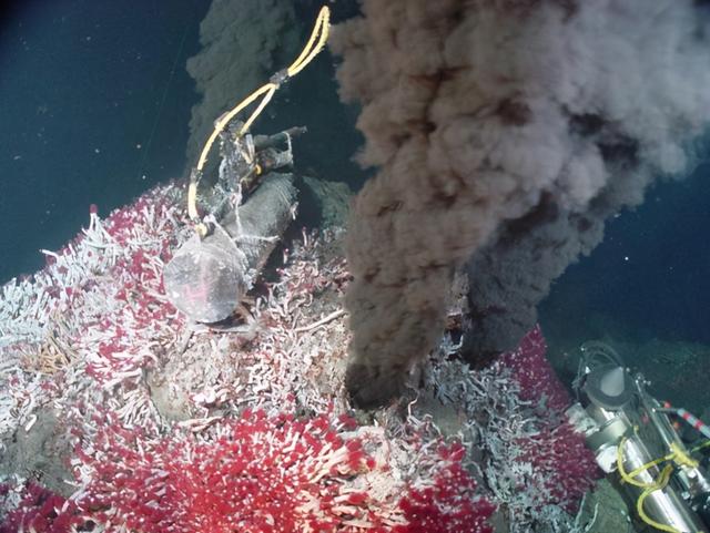 头条问答 - 海底热液口的生物需要氧吗,它们是如何生存的?(4个回答)