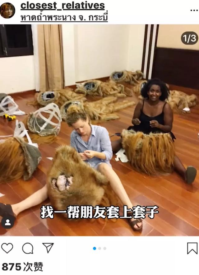 诺里奇梗百科图片:“博物君”无穷小亮为什么那么钟爱解说水猴子？ 诺里奇梗