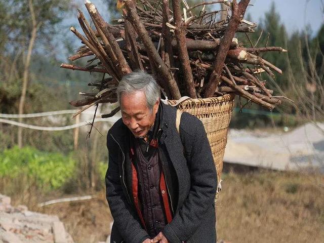 农村怪象：独生子女父母不愁养老,子女多的老人却没人养,为何？