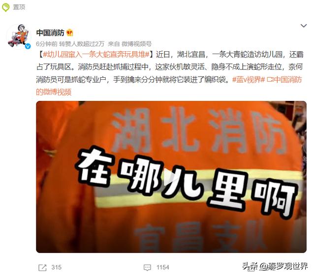 罗威纳犬复仇电影高清:八国联军攻陷北京后，哪个国家军队最坏？