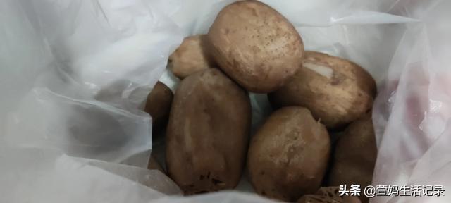 福原爱大姑晒照:福原爱是不是国际体坛最可爱的选手之一？