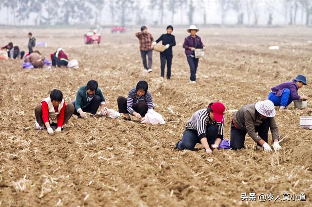 乡土情结 练习:全国哪个地区的人最有乡土情结？