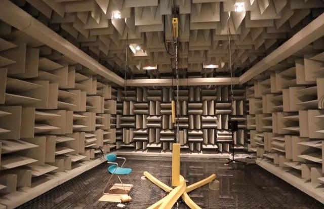 为什么有人说很少有人能在绝对静音无声的密室里撑过1小时？插图22