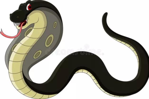 中国蛇村子思桥村，为何有人说“蛇害怕黄鳝”，黄鳝是蛇的天敌吗