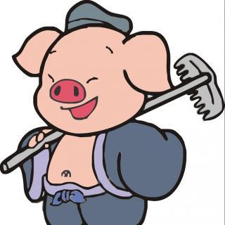 车晓老公是谁:嫁了一个富豪老公是一种什么体验