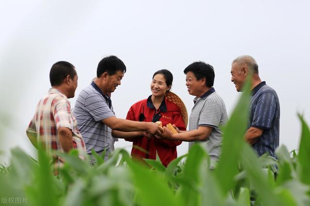 这两年越来越多人承租土地搞种植,现在投资农业很赚钱吗？