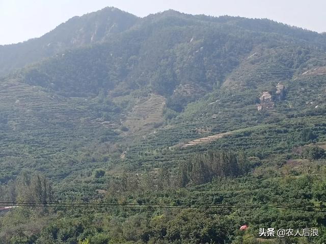 现在的农村,重男轻女的思想还严重吗？