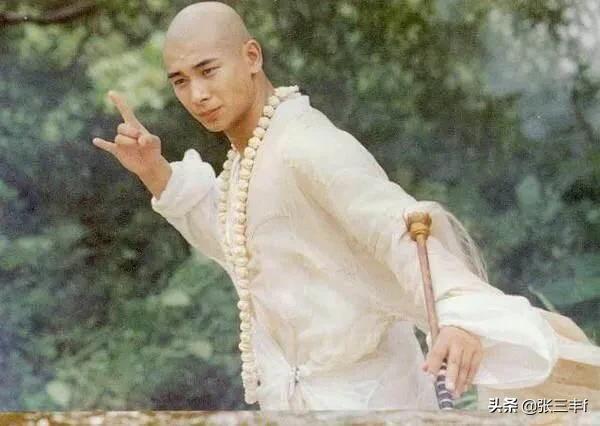 甄子丹赵文卓事件:赵文卓为什么从功夫巨星到无戏可拍他到底得罪谁了