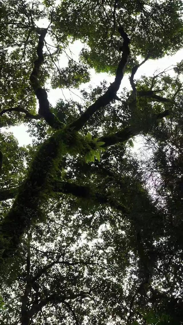 成熟优雅的微信名字:职场中不成熟的表现有哪些