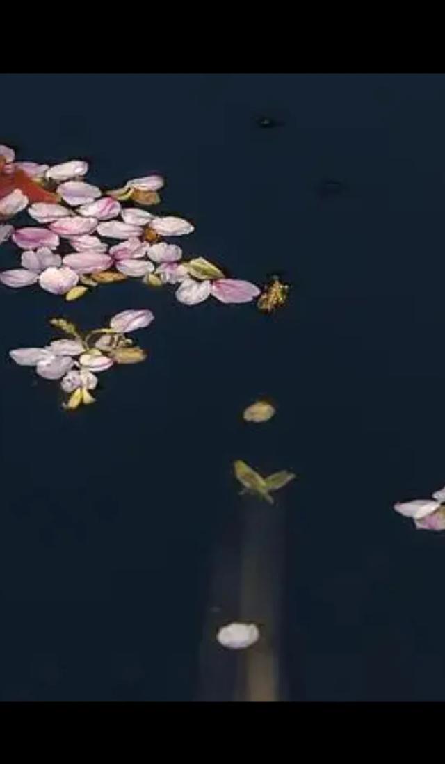 落花人独立,微雨燕双飞。你读了这诗句心理有什么感觉？