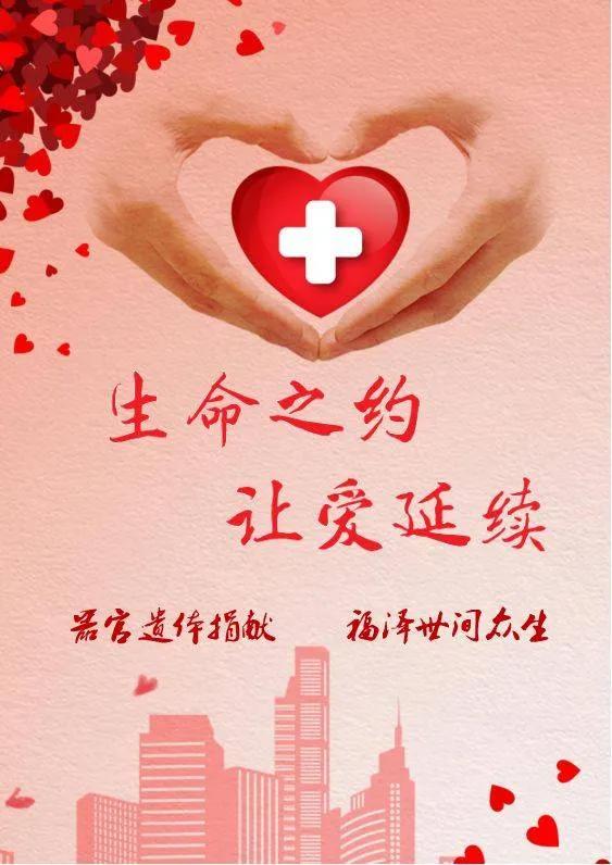 青岛捐献器官的小九月是什么病死的:无偿捐献器官，却要天价移植费用，钱都花在哪里了？