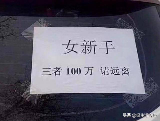 一条反刍的狗内容:为什么老司机都瞧不起新手司机？他们到底欠缺什么驾驶经验？