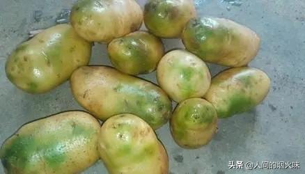 市面上的土豆越来越大，究竟和膨大剂有没有关系？你会吃吗？插图21