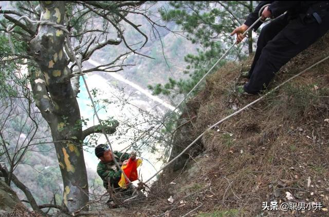 中华异闻录之民间奇闻异事免费，为什么农村的老人说：没有虫鸣的深山，不要只身前往