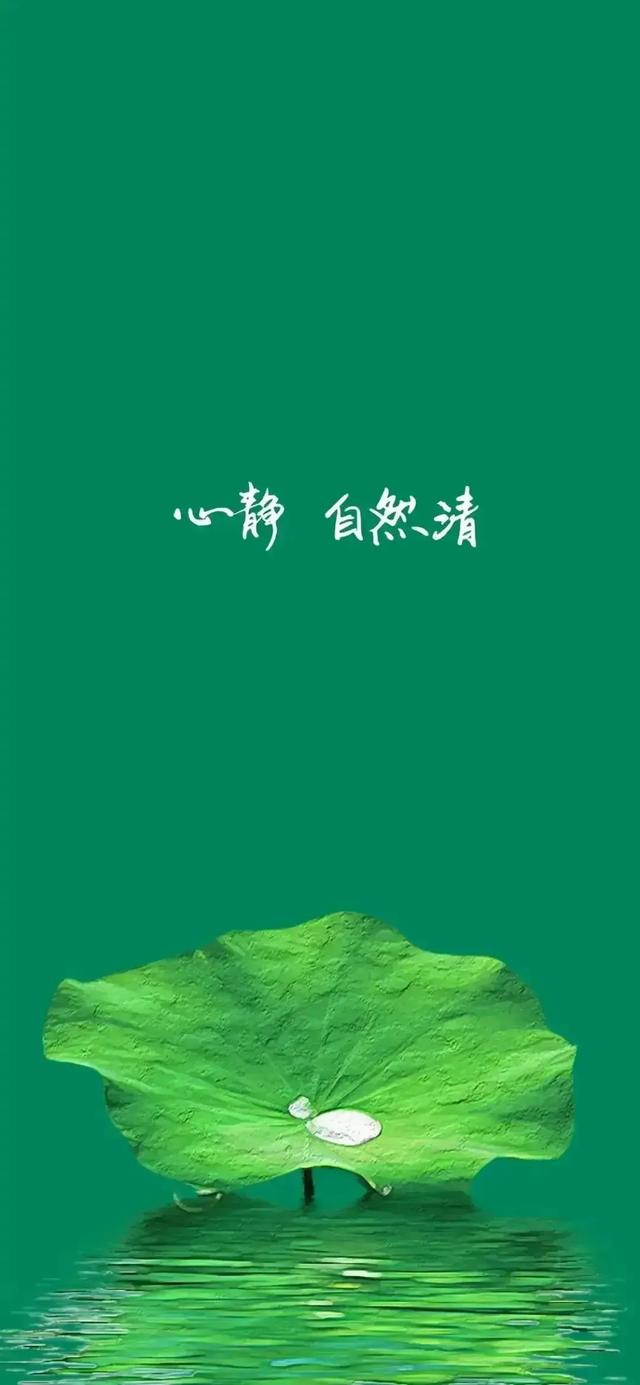 能否分享一下翡翠绿颜色的壁纸?-惠修网