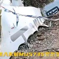 中国失踪飞机之谜，马航m370谜团未解，是太空人所为吗