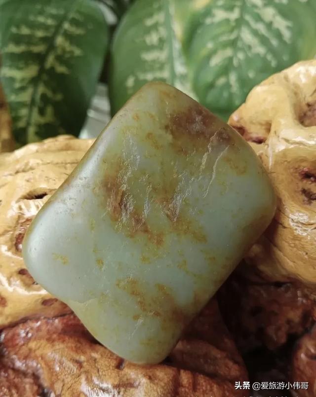 新疆的候鸟有哪些:新疆棉花质量好 新疆都有什么地方可以捡石头？现在还来得及吗？