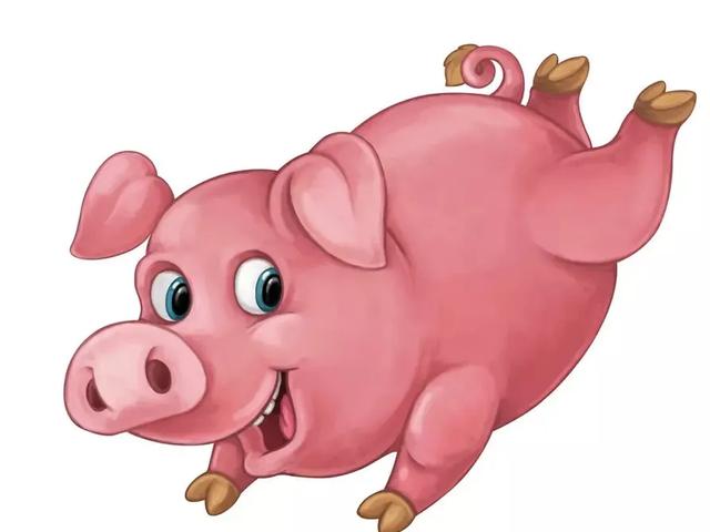 属兔男命运怎么样,属兔的男人都喜欢什么样的女人？