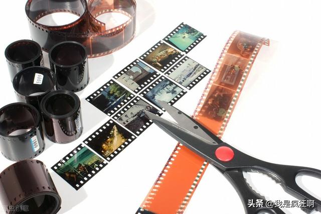 我这有小狗原创视频:为什么农村人现在不愿意养狗，是什么原因造成的？