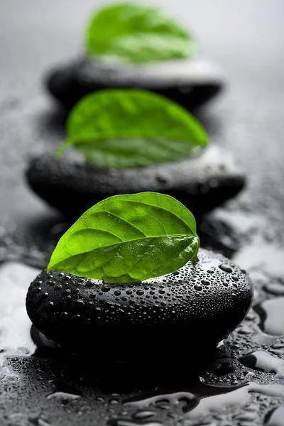 有哪些2018年最精辟的禅语人生感悟句子？