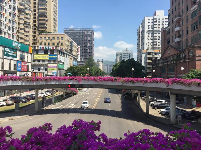 头条很多人写诗,不讲平仄格律不对的却点赞无数,不知道为什么？