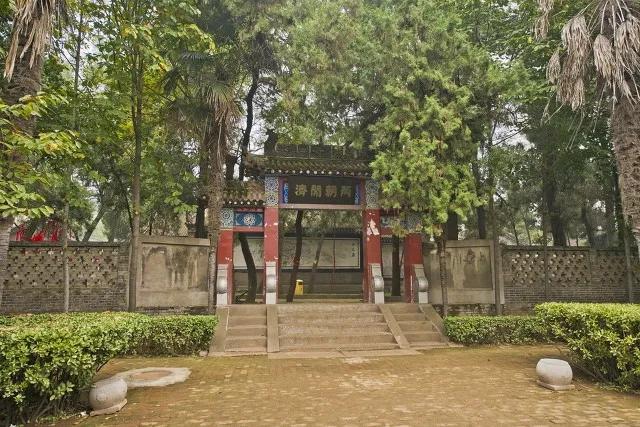 《介助犬的遗言》:癌症晚期患者，忍受着生不如死的折磨，要求安乐死，合法吗？