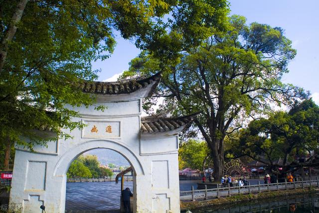 印度小竹节草漂着养:铃木汽车怎么样？故障有哪些，安全性如何？跑高速漂不漂？