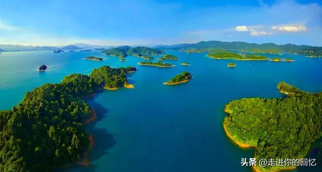 9年前湖中曾出青鱼王212斤:澄江的青鱼为什么那么鲜美？
