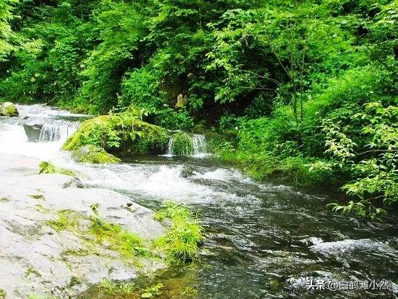 部队过深山遇到的怪事，你遇到过最毛骨悚然的事是什么