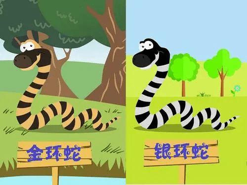 变种太攀蛇:中国有50多种毒蛇，你认为排名前十的毒蛇是哪些？