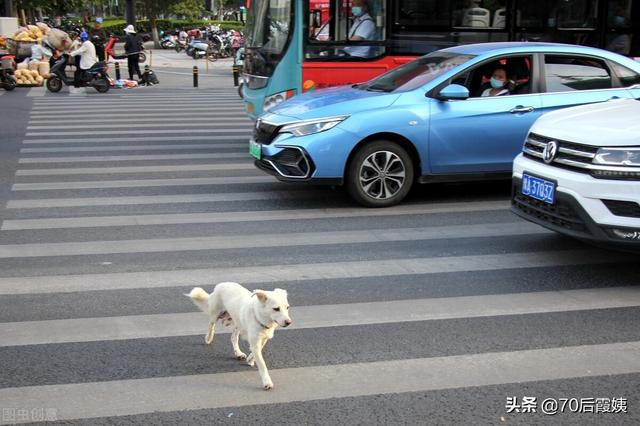 为什么不要让孩子一个人随便去邻居、同学家？插图46