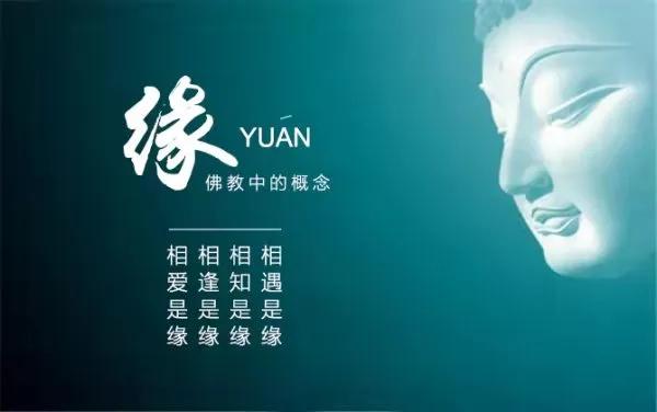 你觉得经历过两次失败的婚姻的人,今后还能有幸福的婚姻吗？为什么？