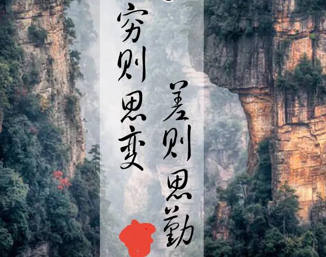 吃猫一一怪事打一生肖,喜欢独来独往的生肖有哪些？
