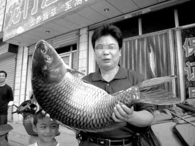 黄河底下有什么草，黄河有哪些大型的鱼类吗黄河最大的鱼有多大有什么特殊鱼类