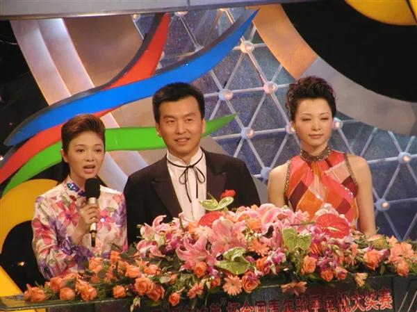 窦智孔主演的电视剧:曾经“央视一姐”，如今“无人问津”，文清这些年经历了什么？