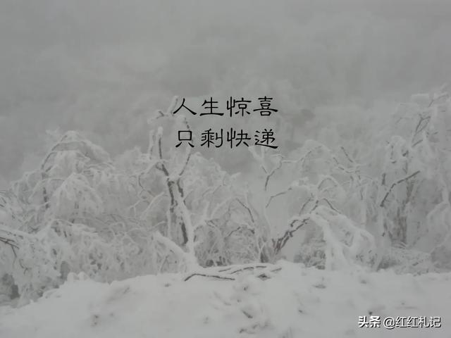 有什么句子让你莫名心酸伤感，句句扎心，红了眼眶