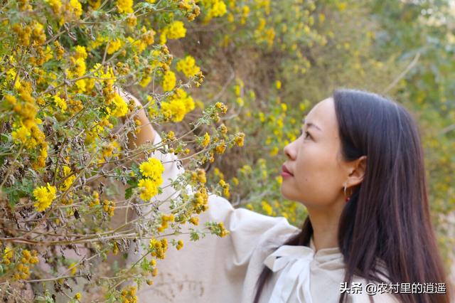 农村以后种地的会是什么人？