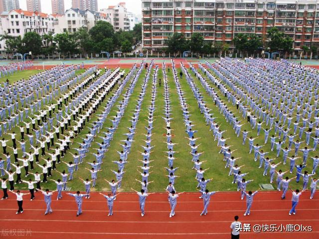 谁能讲一个让人笑哭的真实故事？