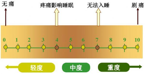 女性外生殖器图，女拳击手为什么也禁止踢裆