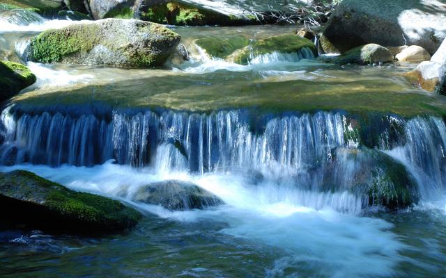 属龙的女生是什么性格呢？