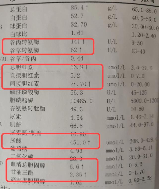 如何快速降低转氨酶指标_如何快速降低转氨酶指标_如何快速降低转氨酶指标