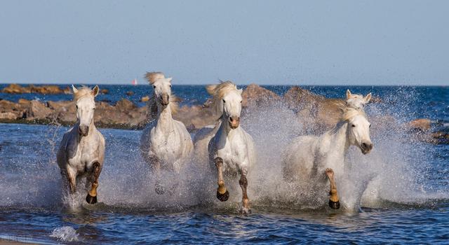 发横财暴富法术咒语,大年初一，你家都是谁开财门？