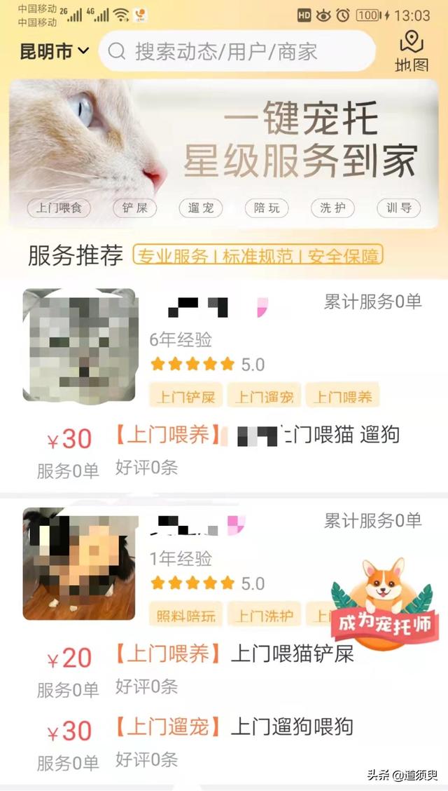 宠物:宠物行业深受追求，又能给你带来什么机会呢？