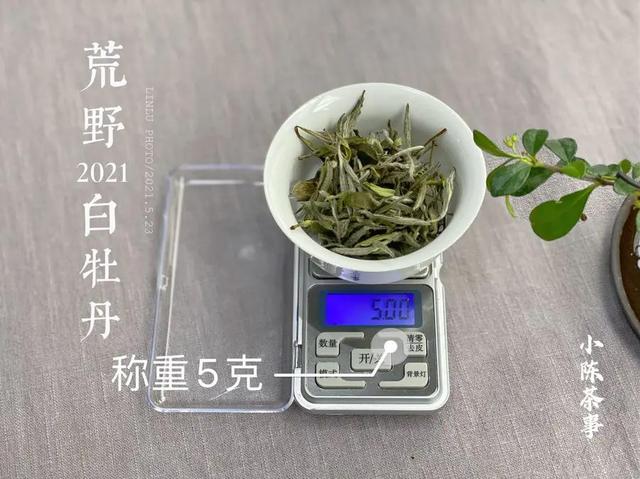 怎么配茶养生,好水配好茶，怎样的水泡茶最养生？