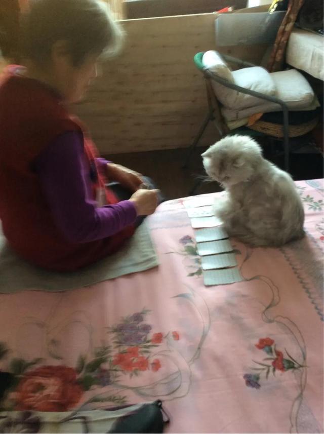 职场中怎么才叫会说话？